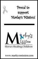 Marleys Mission, Horse, Equestrian Therapy